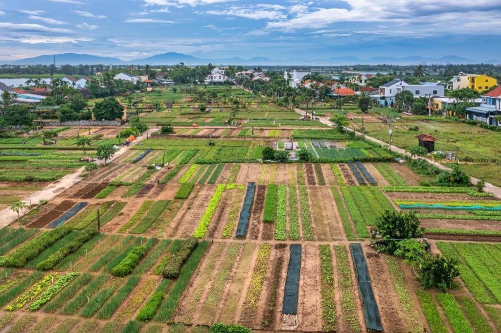 Hoi An Ht Villa And Hostel Εξωτερικό φωτογραφία